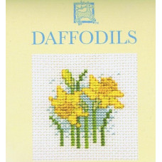 Mini Card Daffodils
